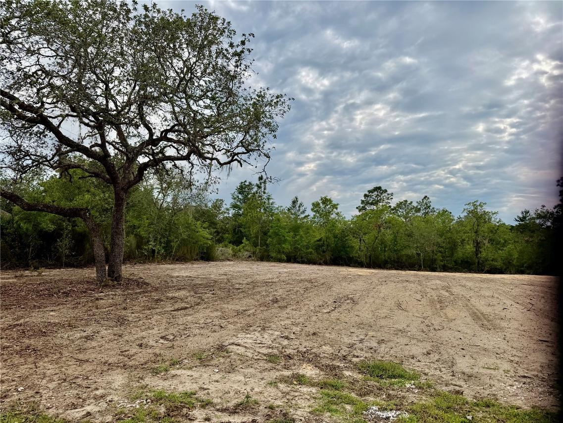 TBD NE 105th Ave., Bronson, FL 32621