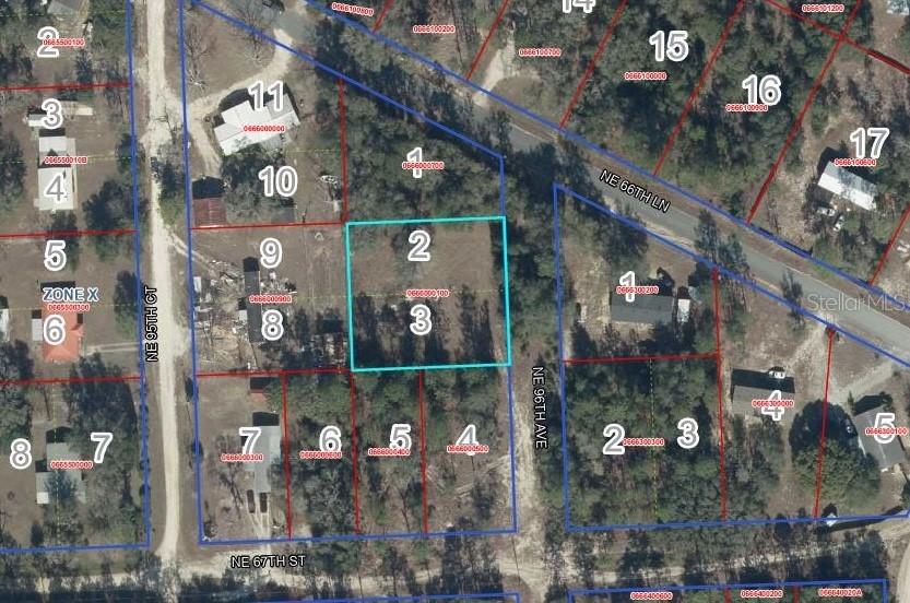 Lot 2&3 NE 95th Ave, Bronson, FL 32621