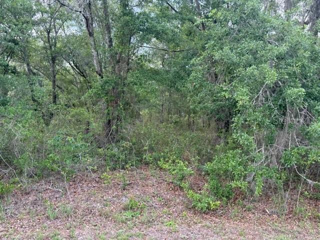 21902 NE 69th Pl., Melrose, FL 32666