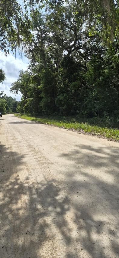 NE 278 Ave, Old Town, FL 32680