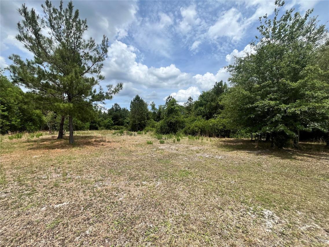 NW County Road 229, Starke, FL 32091