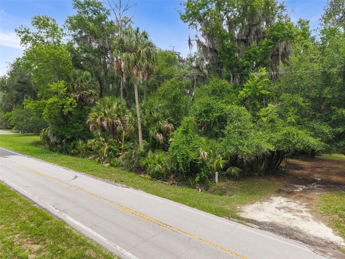 TBD Se Wacahoota Rd., Micanopy, FL 32667