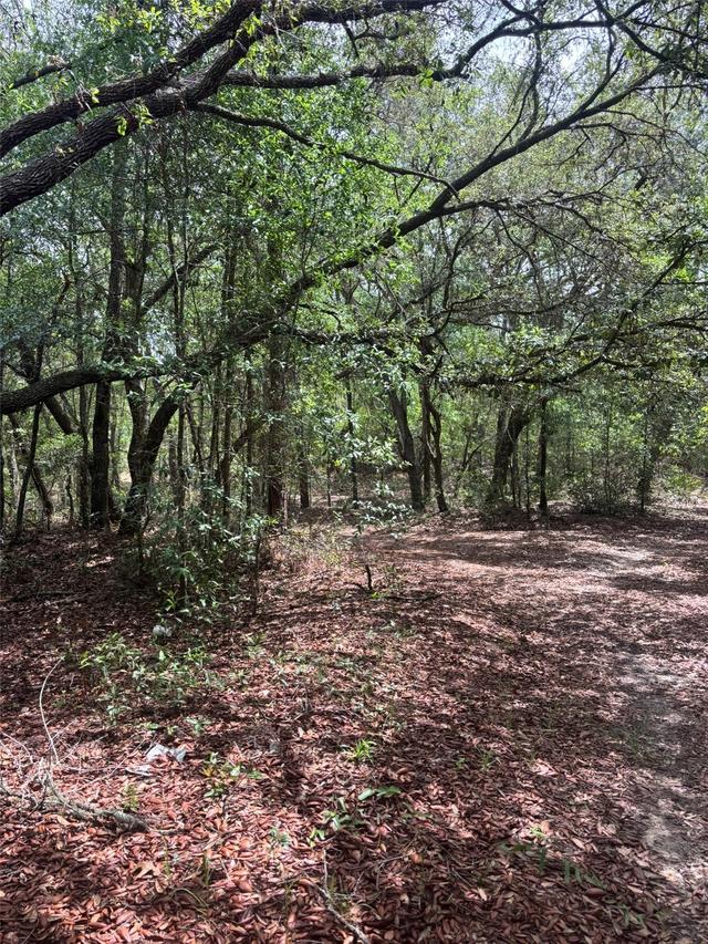 83rd Ln., Bronson, FL 32621