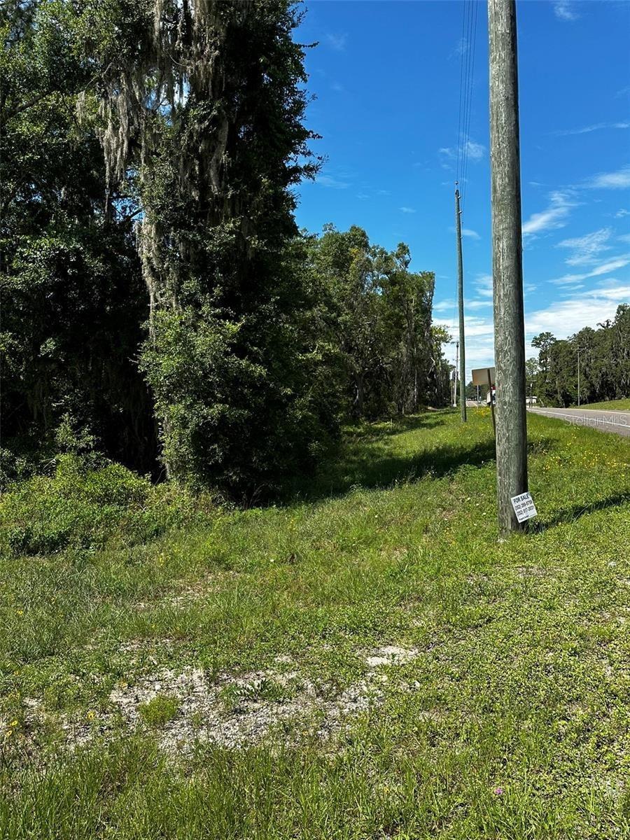 xx E Thrasher Dr Dr., Bronson, FL 32621