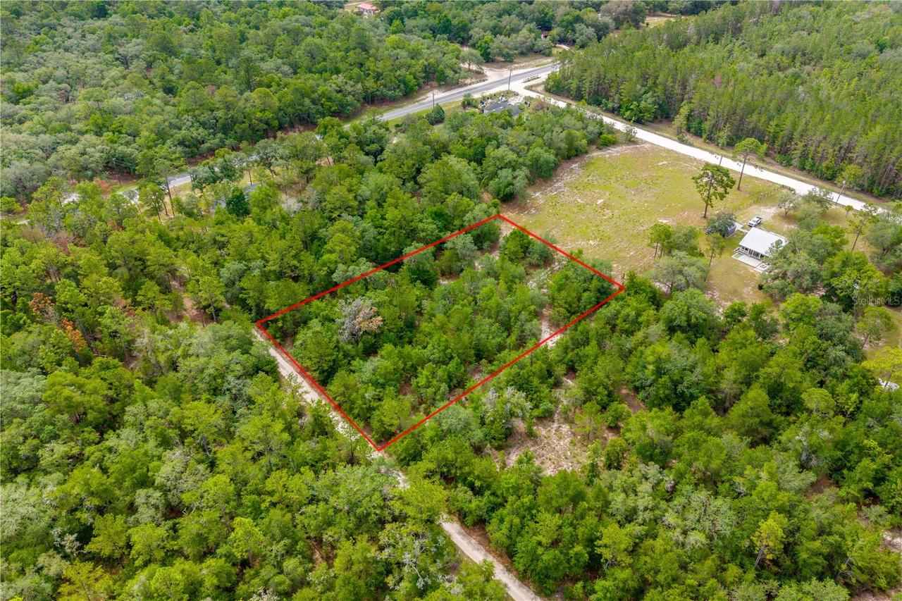 7930 NE 121st St., Bronson, FL 32621