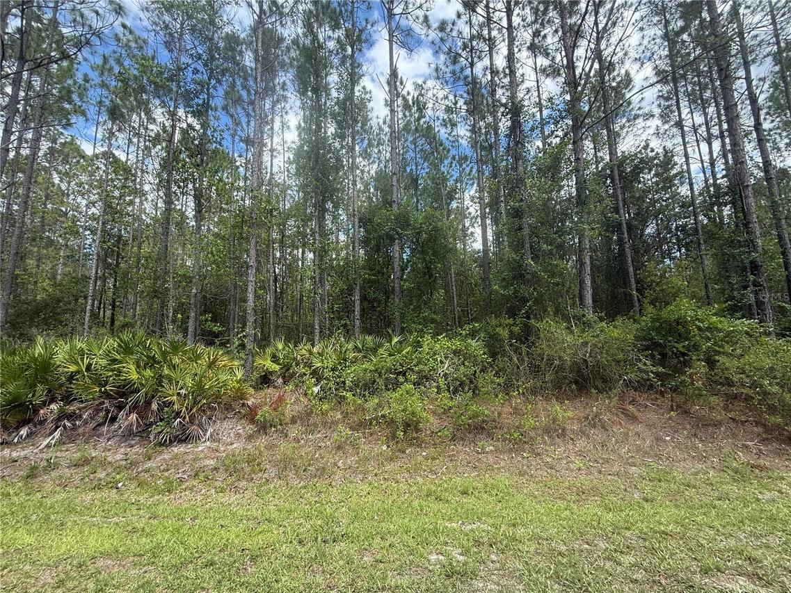 SW 89th St., Lake Butler, FL 32054