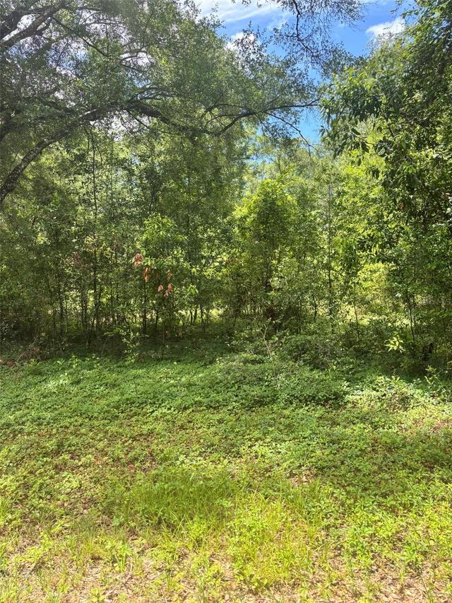 8230 NW 166th St., Fanning Springs, FL 32693