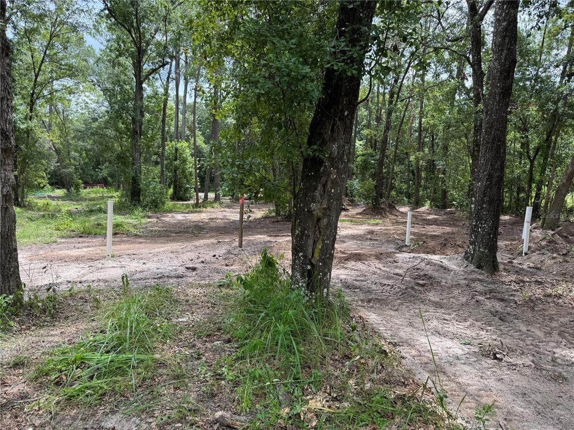 15183 NE Tbd Ter., Waldo, FL 32694