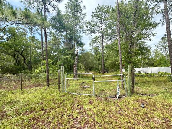 New Homes For Sale This Week in Williston: June 5th to June 11th