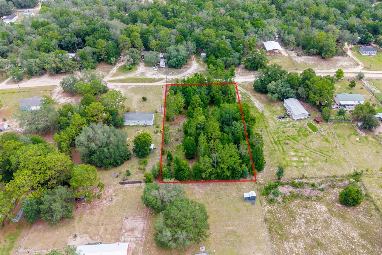 TBD NE 115 St., Bronson, FL 32621