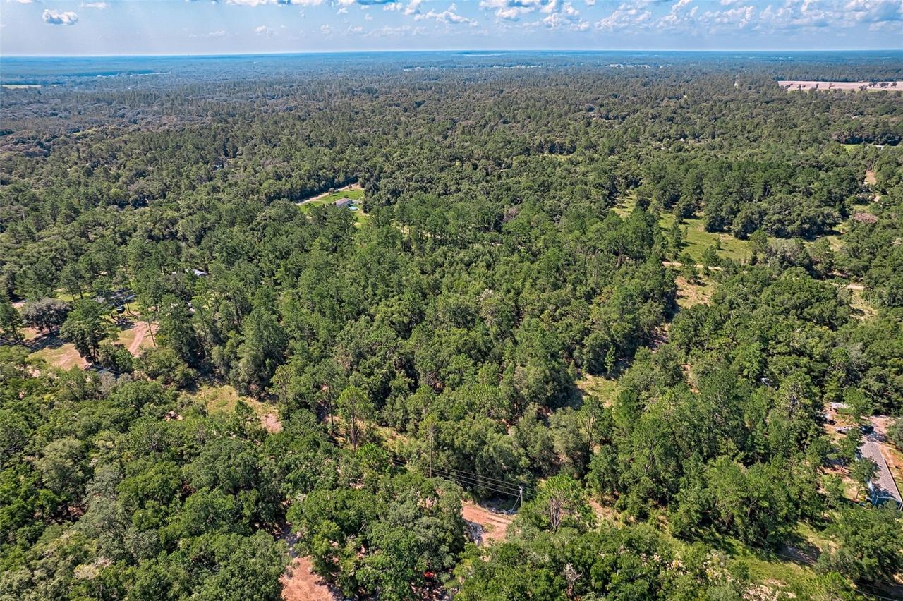 000 NE 83rd Ln., Bronson, FL 32621
