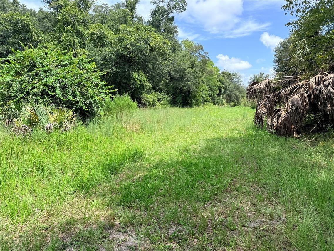 000 NW 68 Ter., Chiefland, FL 32626