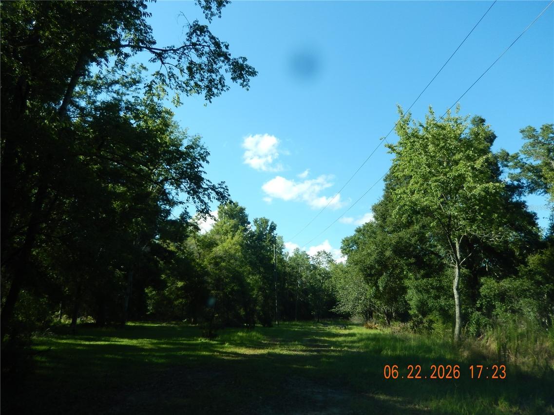 761 SW Sunview St., Fort White, FL 32038