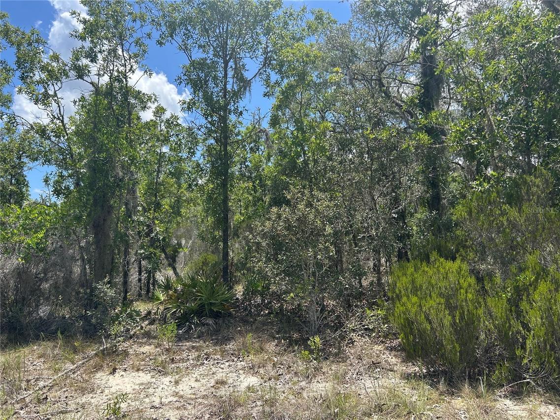 NE 101st Ter., Archer, FL 32618