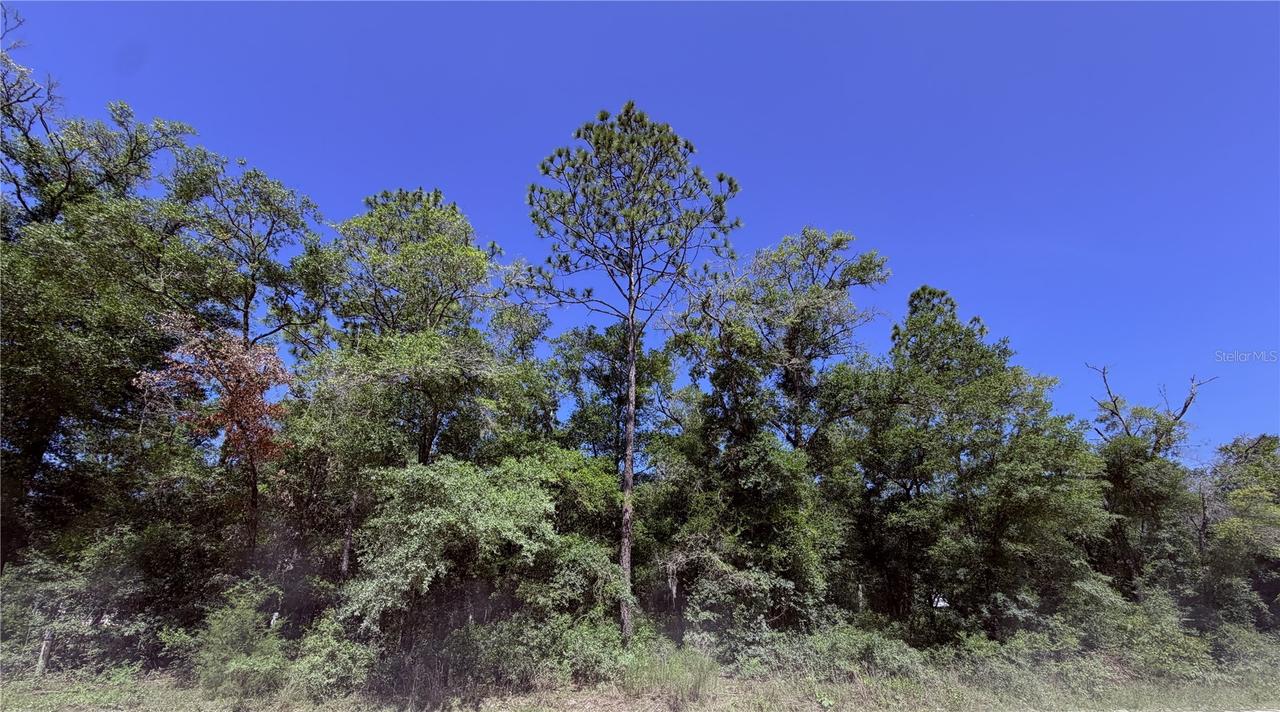 NE 90th Ave. #LOT 14-A, Bronson, FL 32621