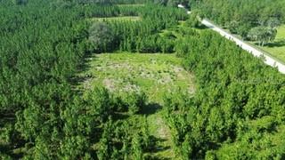 100 SW Carpenter Rd., Lake City, FL 32024