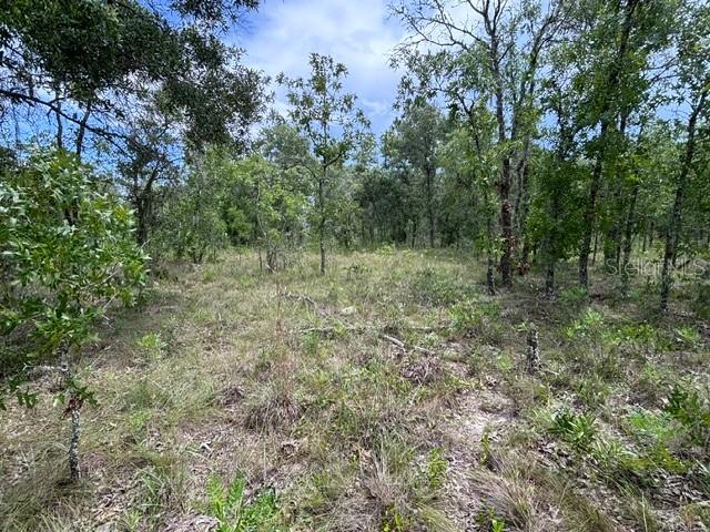 SE 16 Ln., Morriston, FL 32668