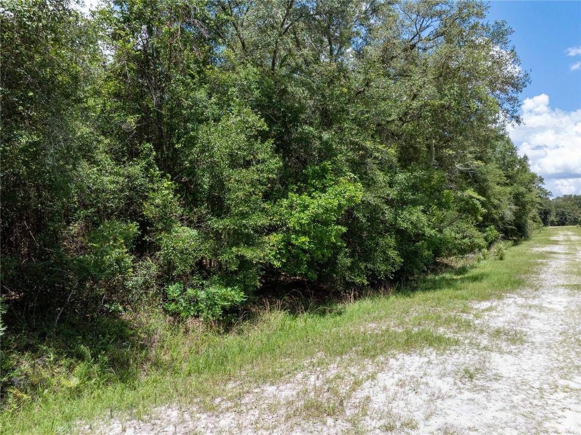 Lot 53 SW Roanoke Ter., Fort White, FL 32038