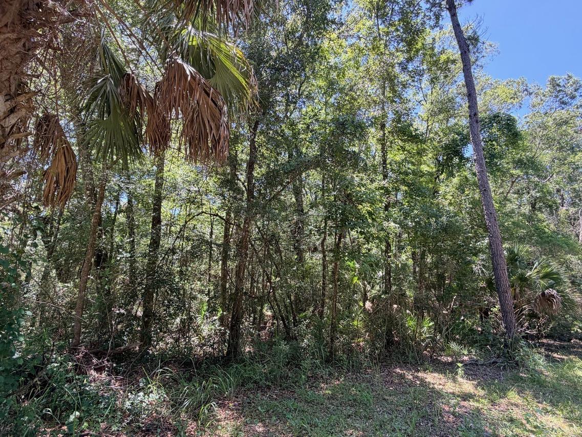 SE Hwy 19, Inglis, FL 34449