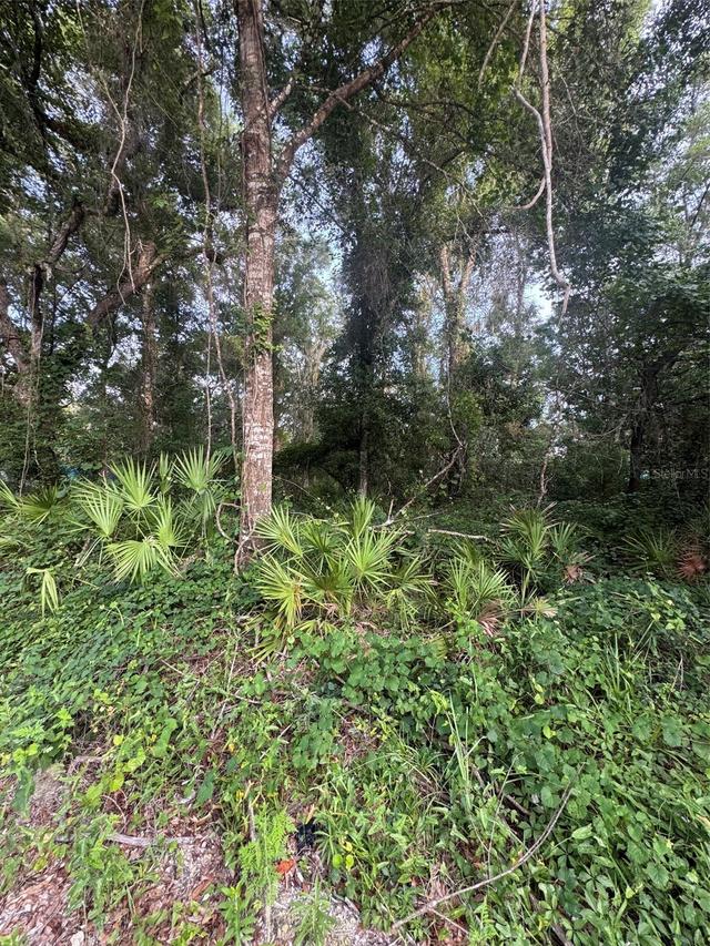 472 NE Avenue Ave. #200, Old Town, FL 32680