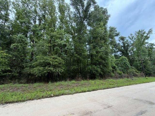 NE 312th Ave., Old Town, FL 32680