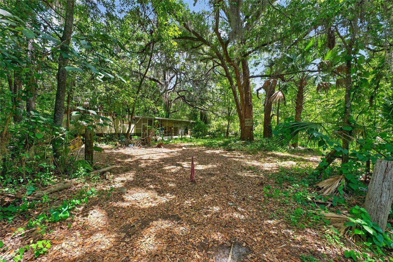 5725 NW 219th Street Rd., Micanopy, FL 32667