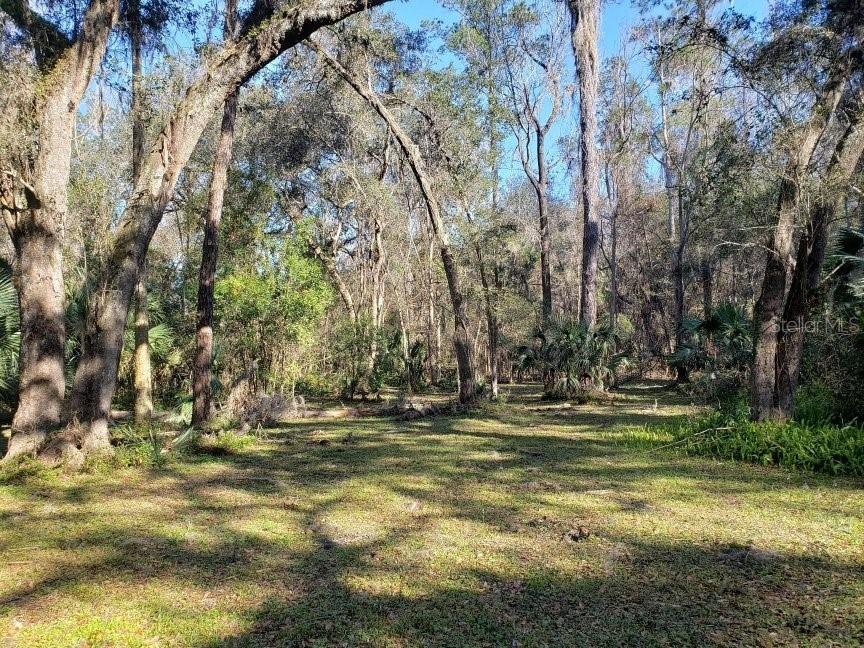 2929 SW 2nd Ct., Gainesville, FL 32601