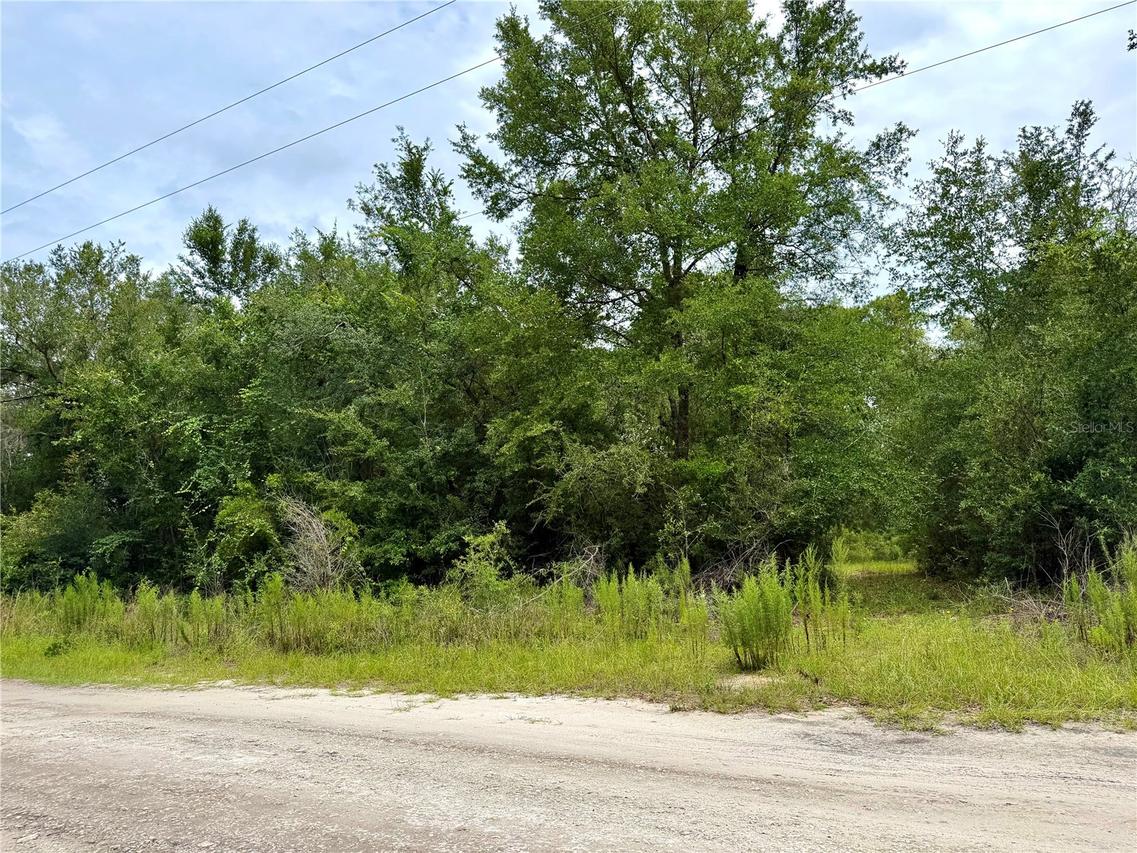 12790 NE 78 Ter., Bronson, FL 32621