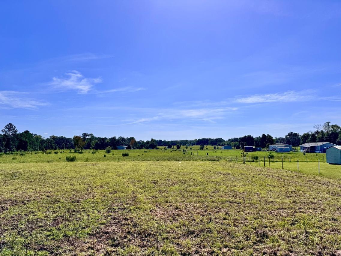 TBD NE 96 Ave., Archer, FL 32618