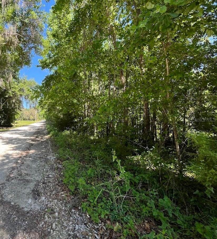 14220 NW 182nd Ln., Williston, FL 32696