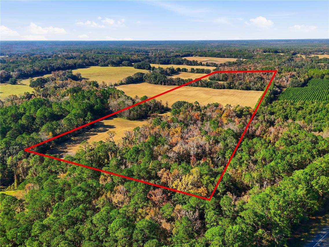 OFF Old Bellamy Rd Rd., High Springs, FL 32643
