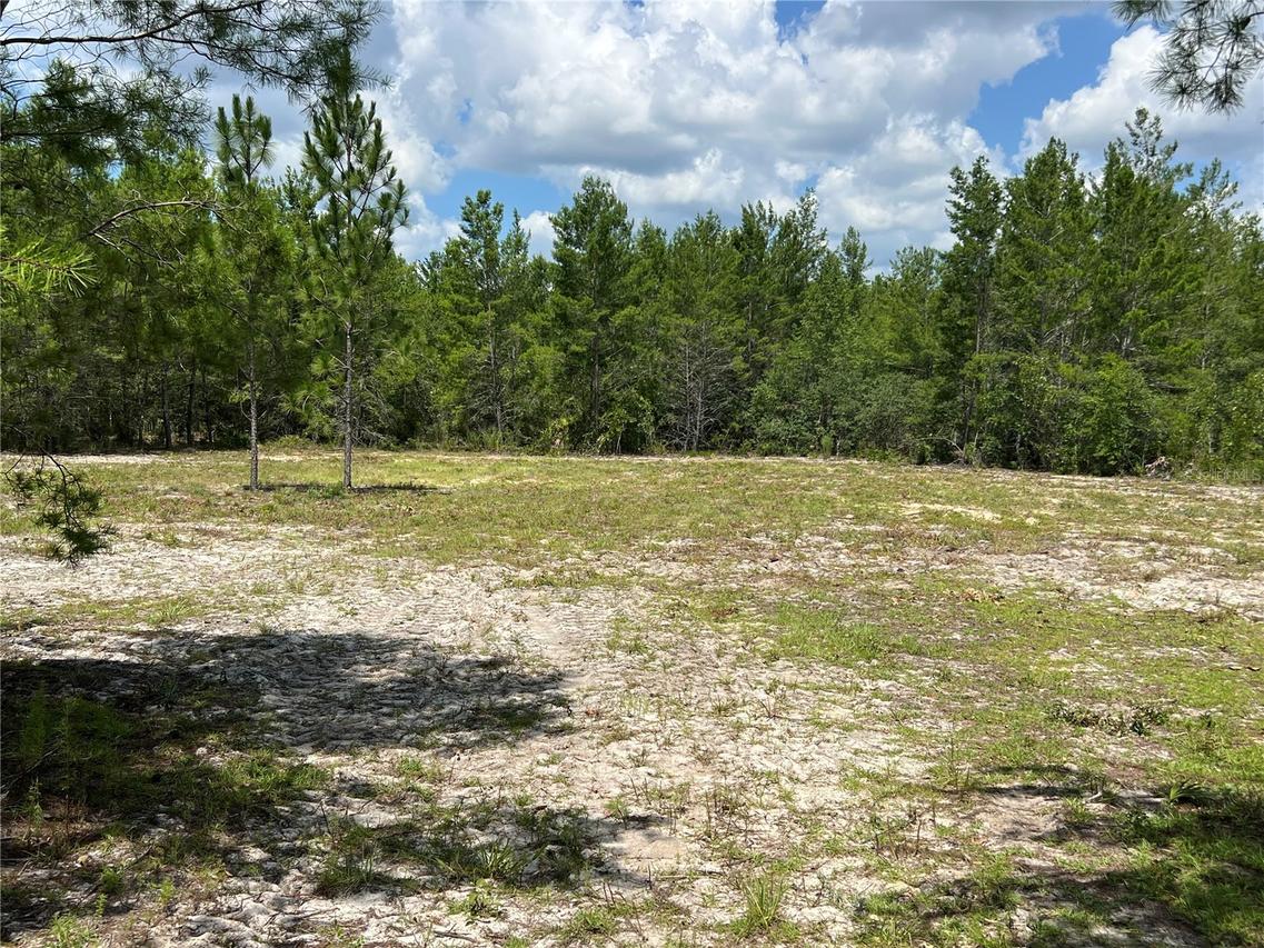 18013 SW 179th Pl., Archer, FL 32618