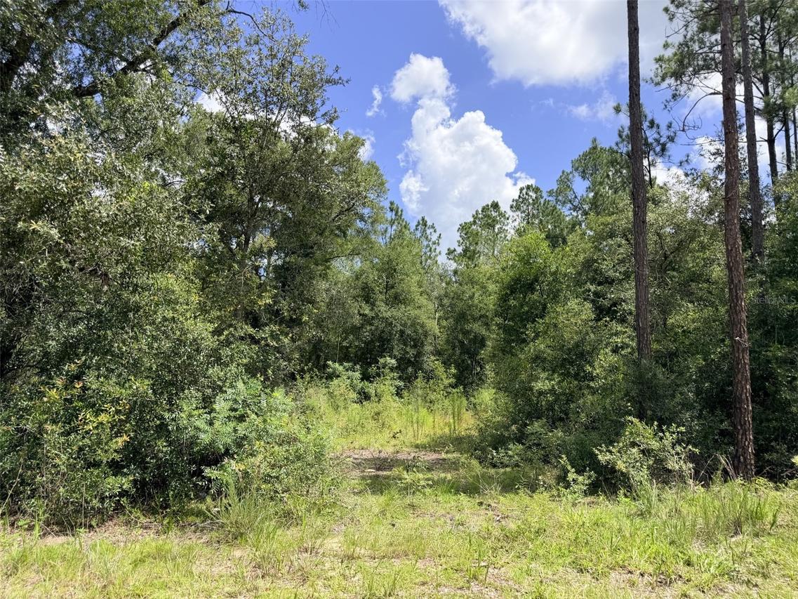 9791 NE 77 Pl., Bronson, FL 32621