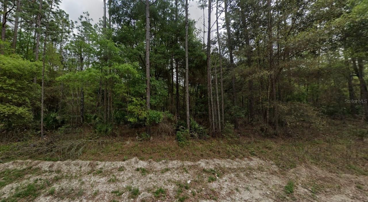 NE 821st St., Old Town, FL 32680