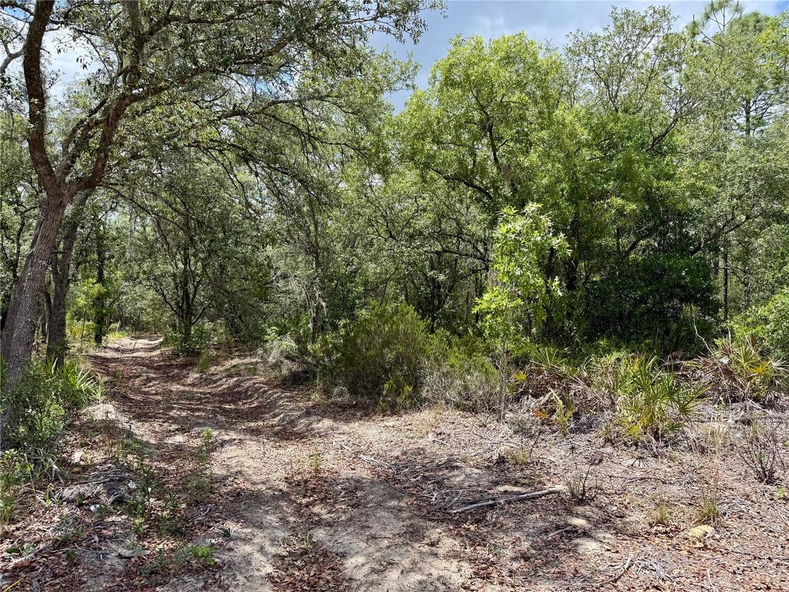SW 200 St., Archer, FL 32618