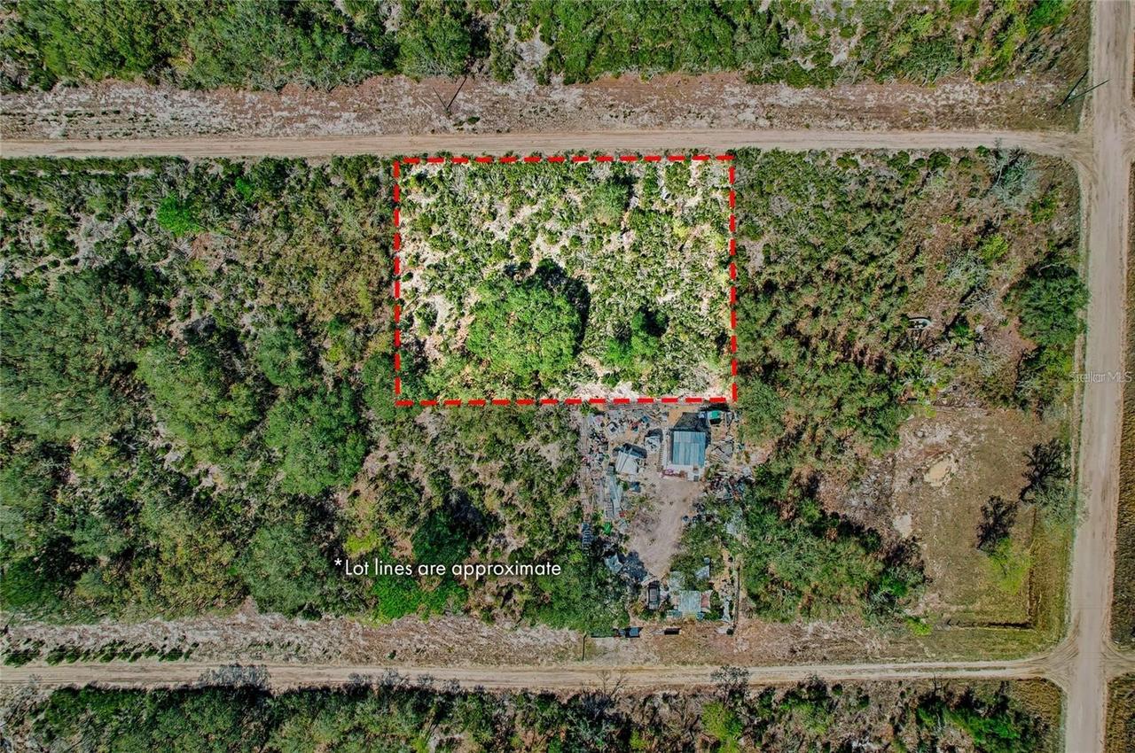 000 NE 68th Pl., Williston, FL 32696