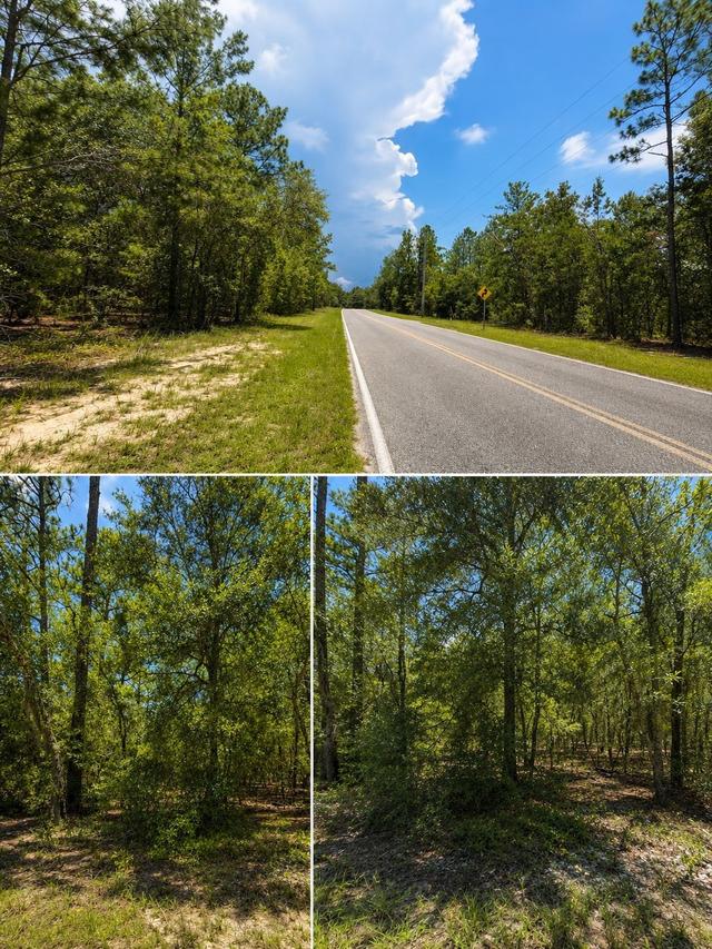 507 & 509 Baden Powell Rd., Hawthorne, FL 32640