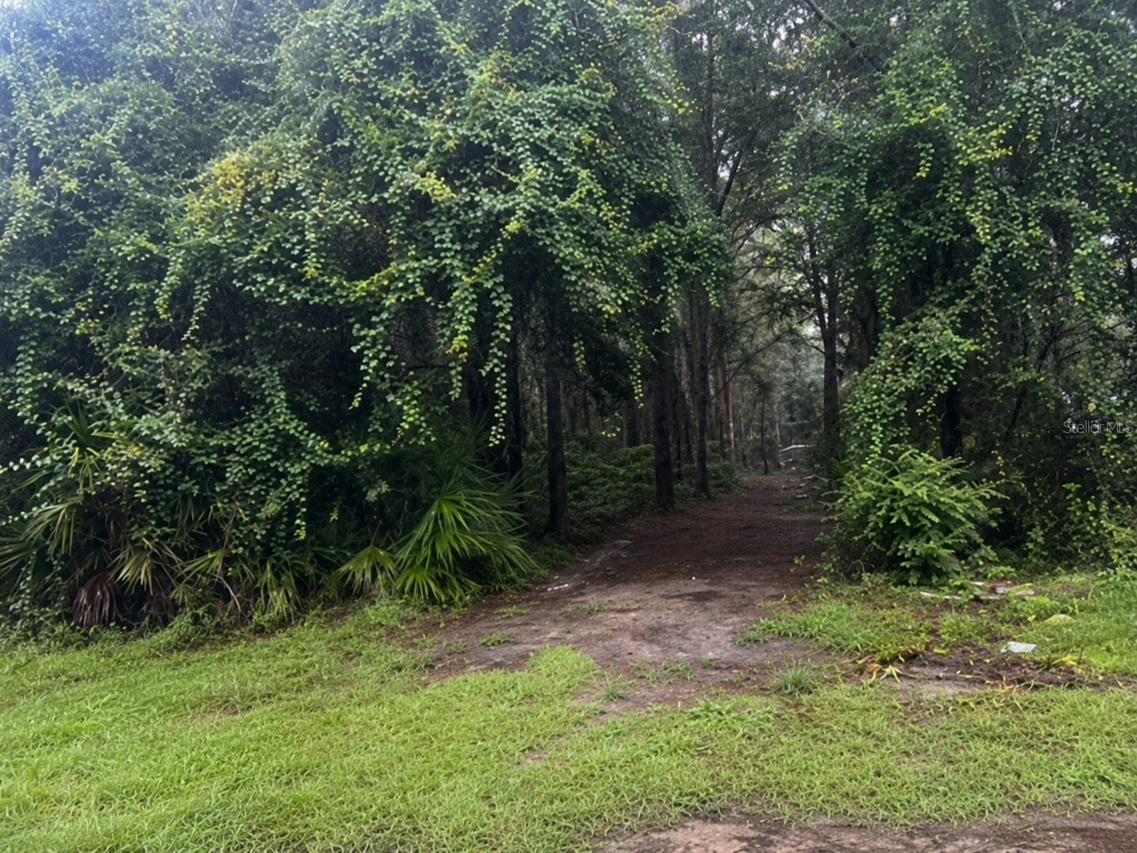 TBD NW 167th Pl., Trenton, FL 32693