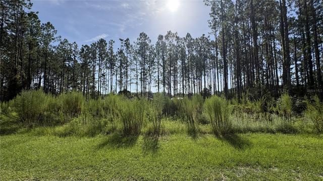 New Homes For Sale This Week That Attend High Springs Community School: August 7th to August 13th
