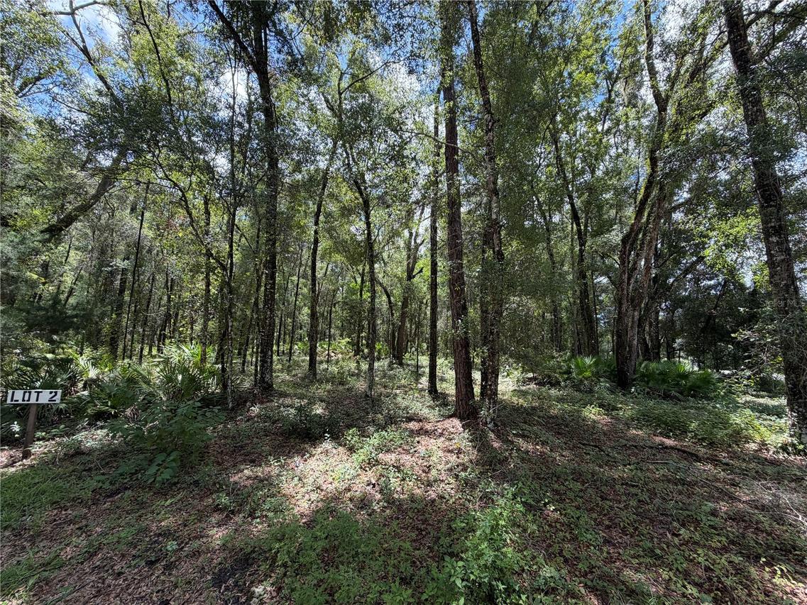 TBD SW 170th St., Archer, FL 32618