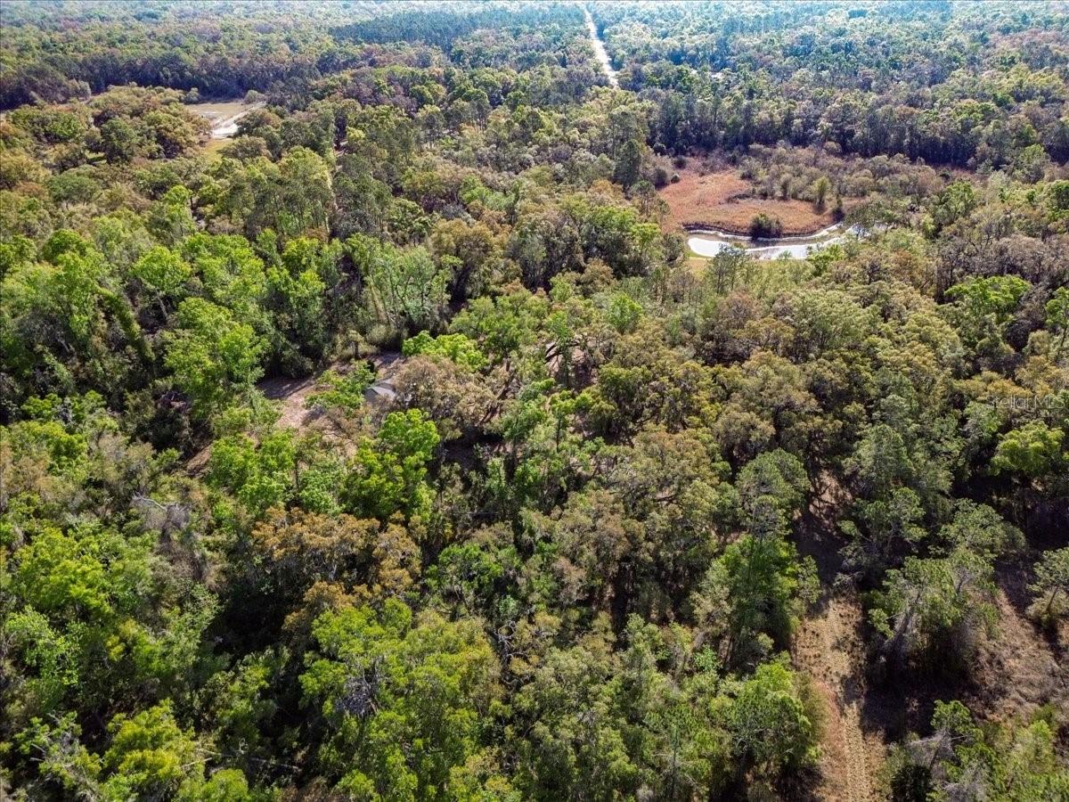 957 NE 354th Ave., Old Town, FL 32680