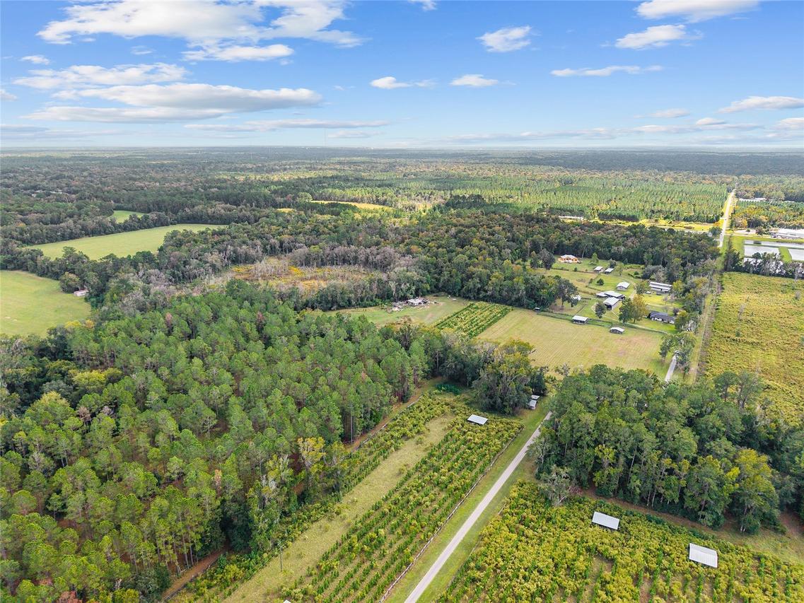 8543 NW 71 Ter., Gainesville, FL 32653