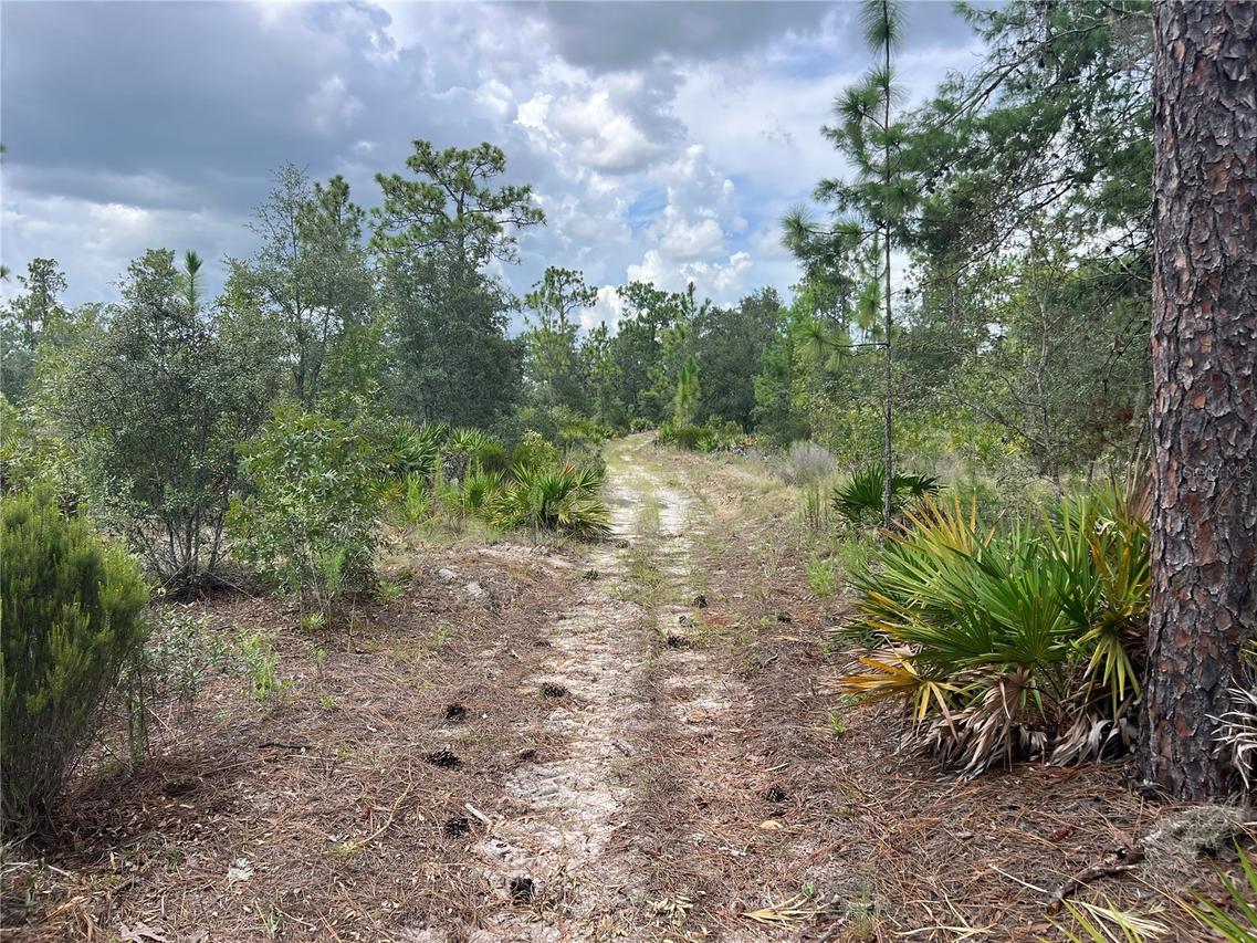 19925 SW 200 St., Archer, FL 32618