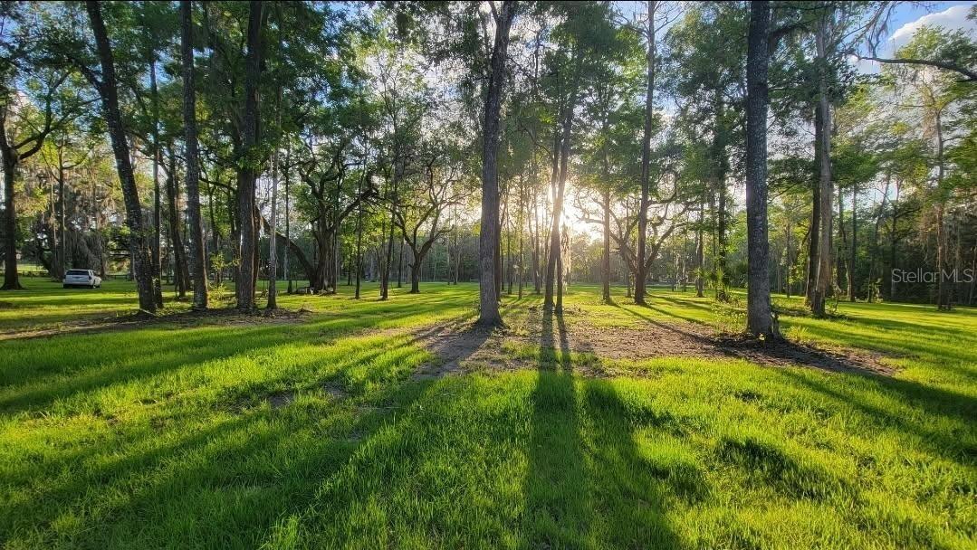 16545 NW 128th Ter. #Lot 37 & 36, Reddick, FL 32686