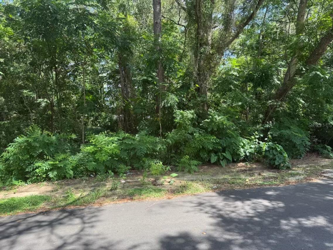 3090 SE 20th Ave., Gainesville, FL 32641
