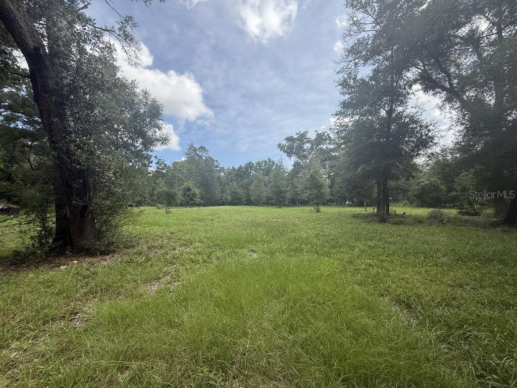 8431 NW 60 Ave., Chiefland, FL 32626
