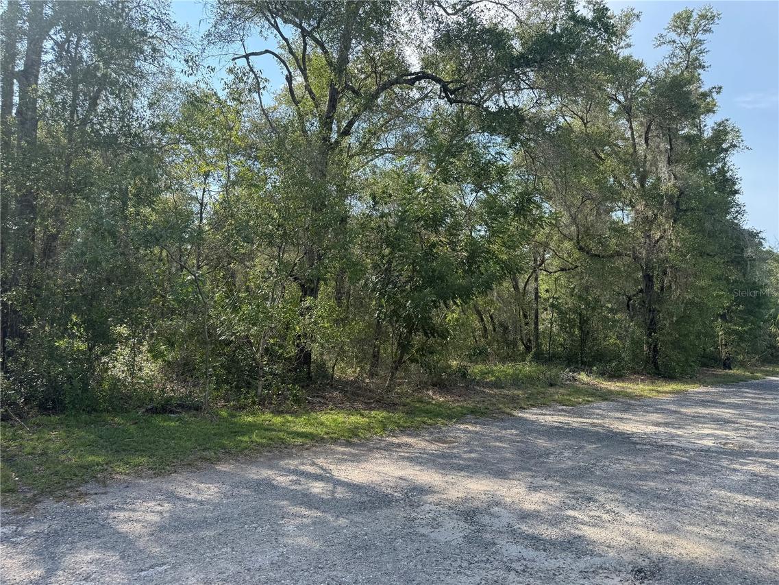 7946 N Neige Point, Crystal River, FL 34428