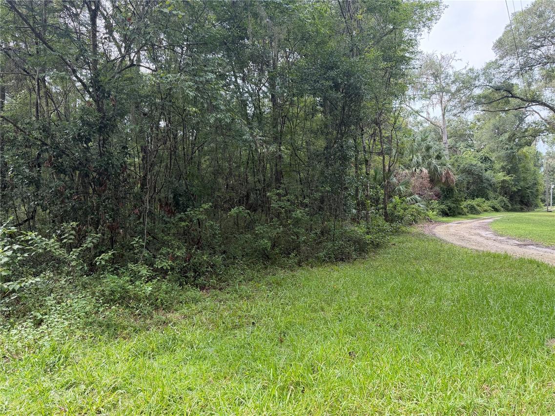 TBD SW 89th St., Gainesville, FL 32608