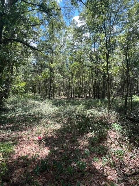 16958 NW Us Hwy 441 Hwy., High Springs, FL 32643