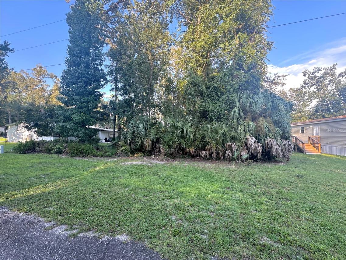 NW 114th Ct., Chiefland, FL 32626